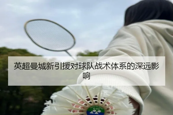英超曼城新引援对球队战术体系的深远影响（Yihao）